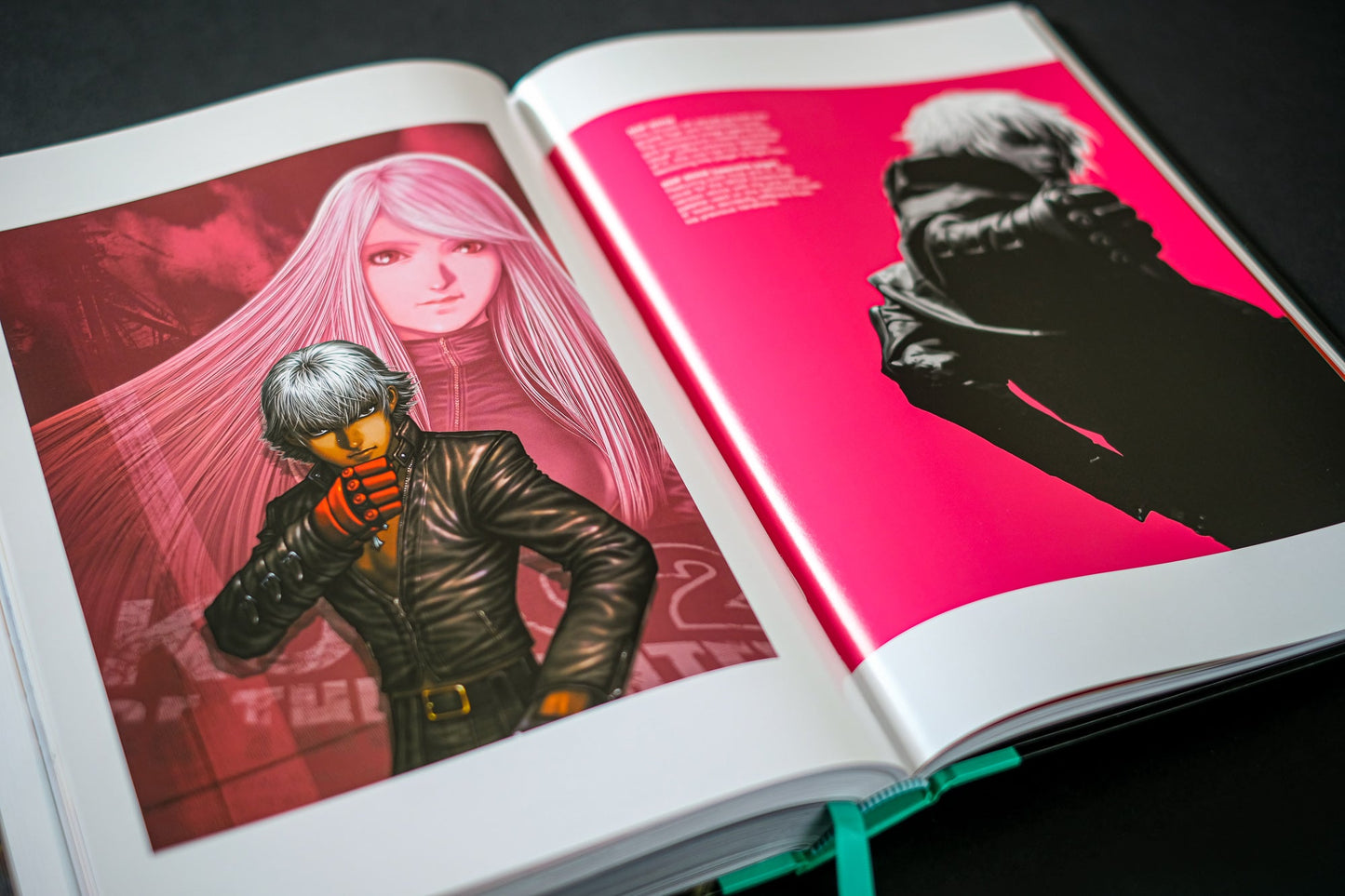 THE KING OF FIGHTERS: The Ultimate History Buch