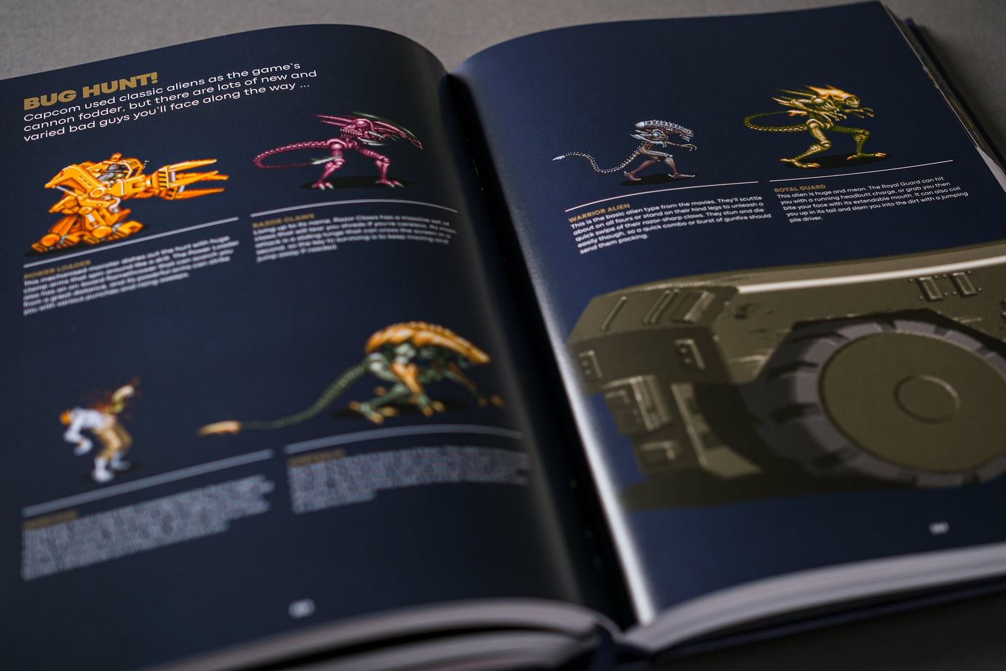 Go Straight: The Ultimate Guide to Side-Scrolling Beat-’Em-Ups Buch