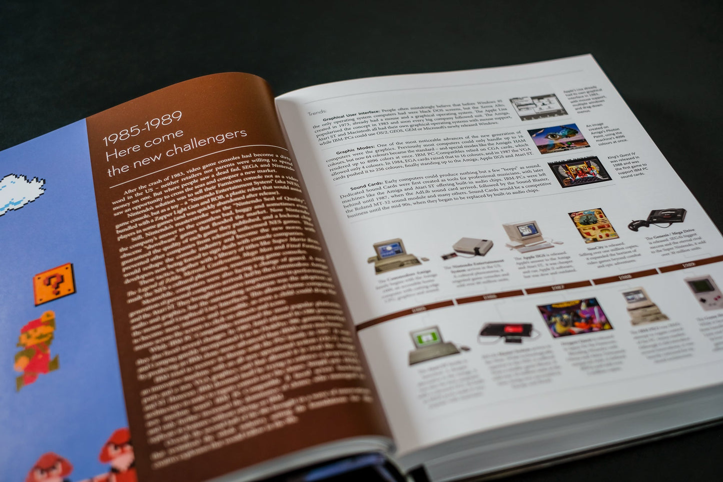 The CRPG Book Expanded Edition Buch