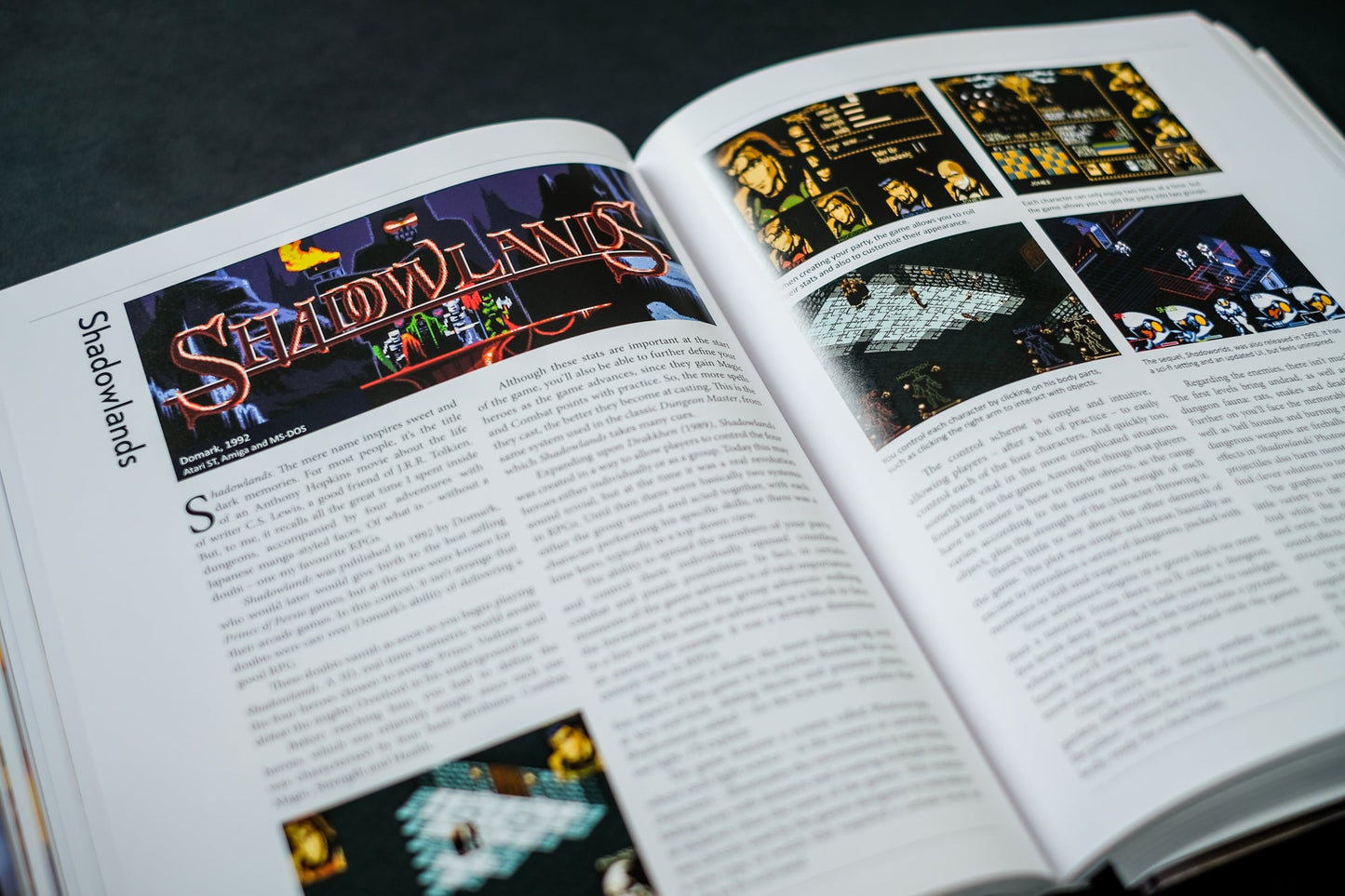 The CRPG Book Expanded Edition Buch