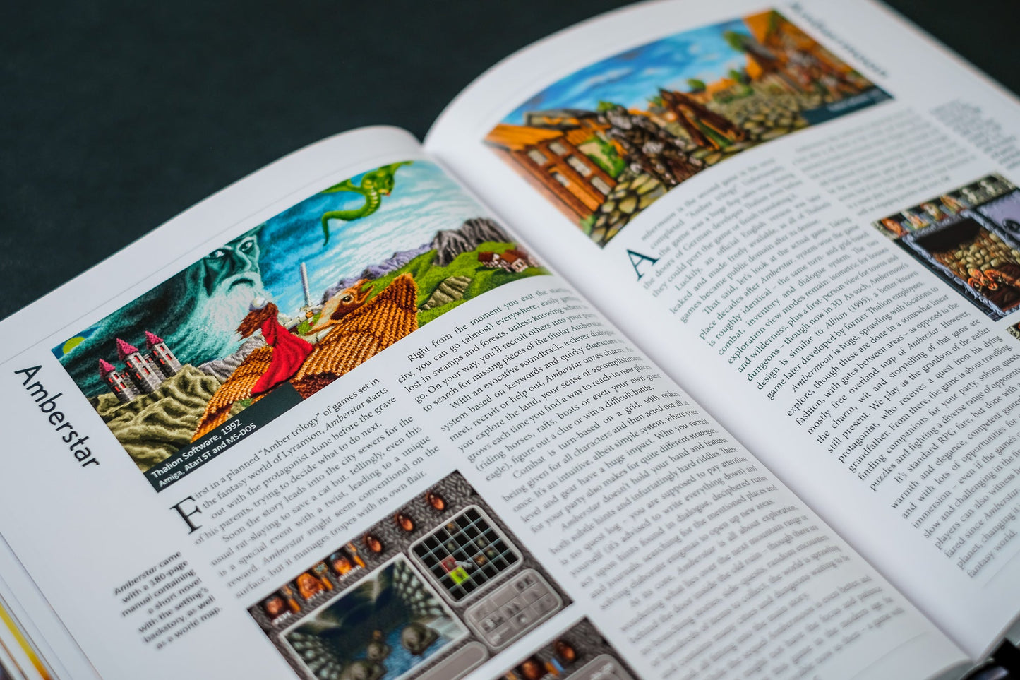 The CRPG Book Expanded Edition Buch