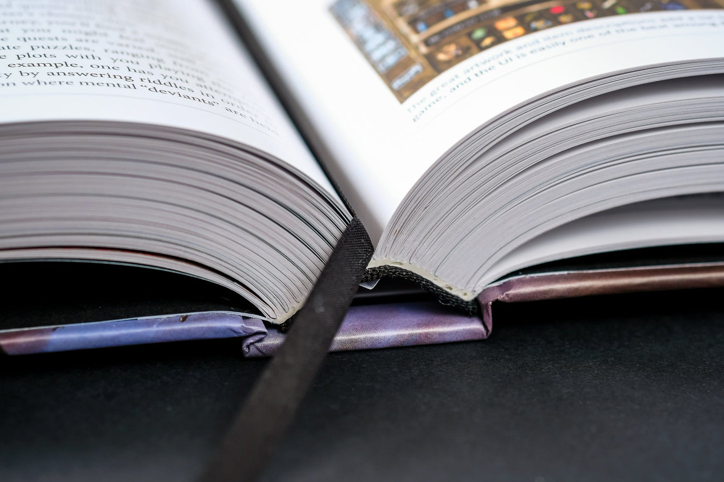The CRPG Book Expanded Edition Buch