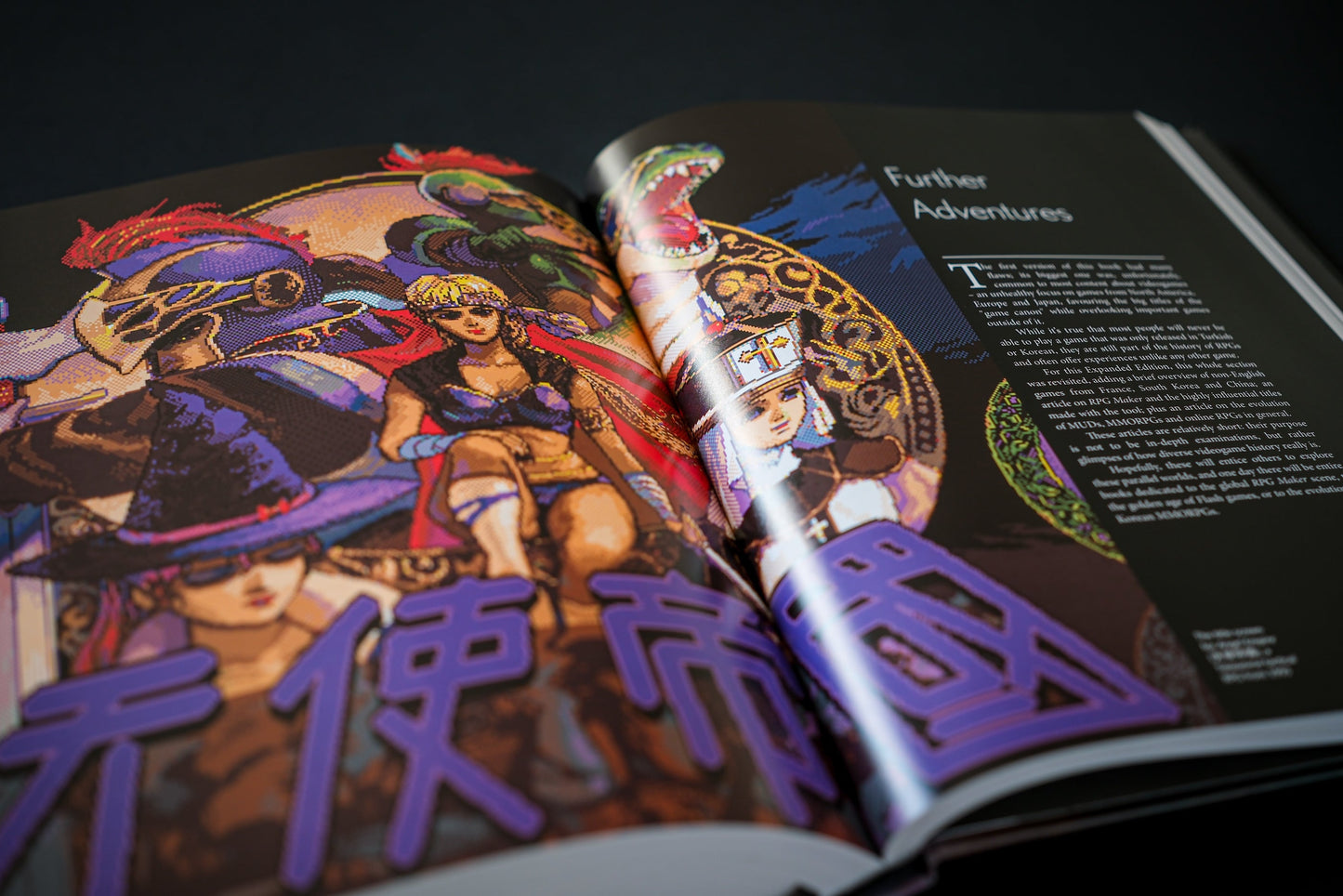 The CRPG Book Expanded Edition Buch