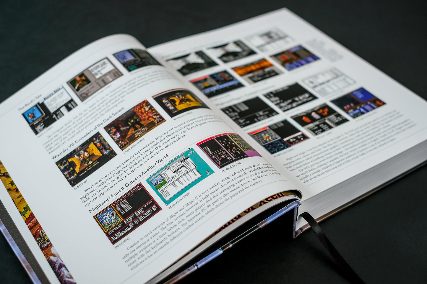 The CRPG Book Expanded Edition Buch