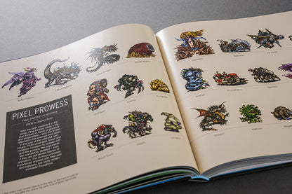 The GBA Pixel Book Buch