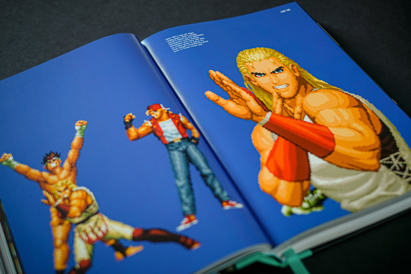 THE KING OF FIGHTERS: The Ultimate History Buch