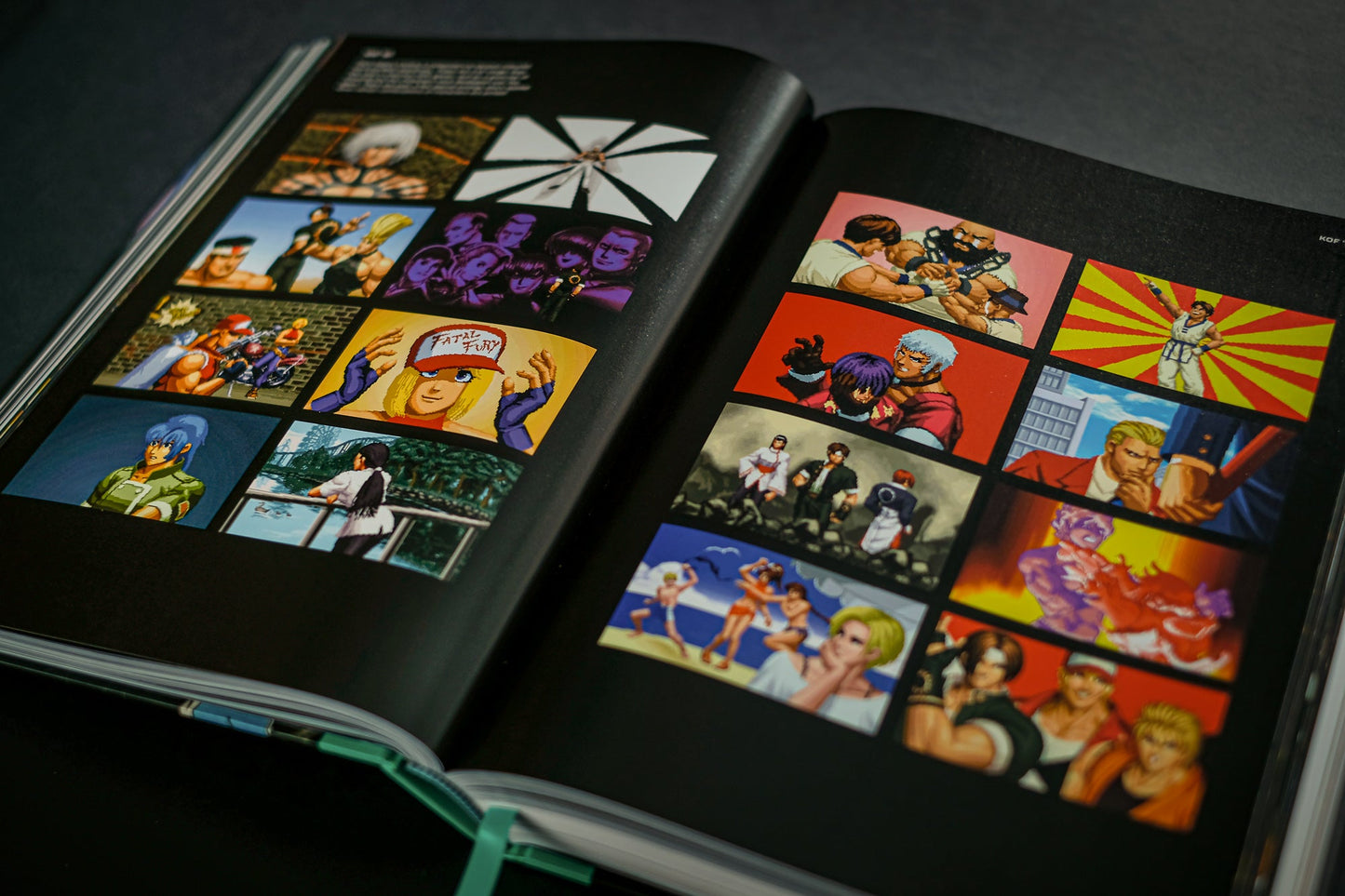 THE KING OF FIGHTERS: The Ultimate History Buch
