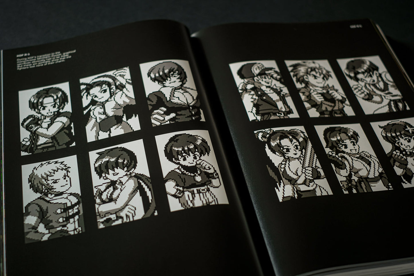 THE KING OF FIGHTERS: The Ultimate History Buch