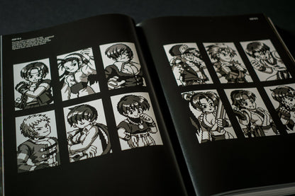 THE KING OF FIGHTERS: The Ultimate History Buch