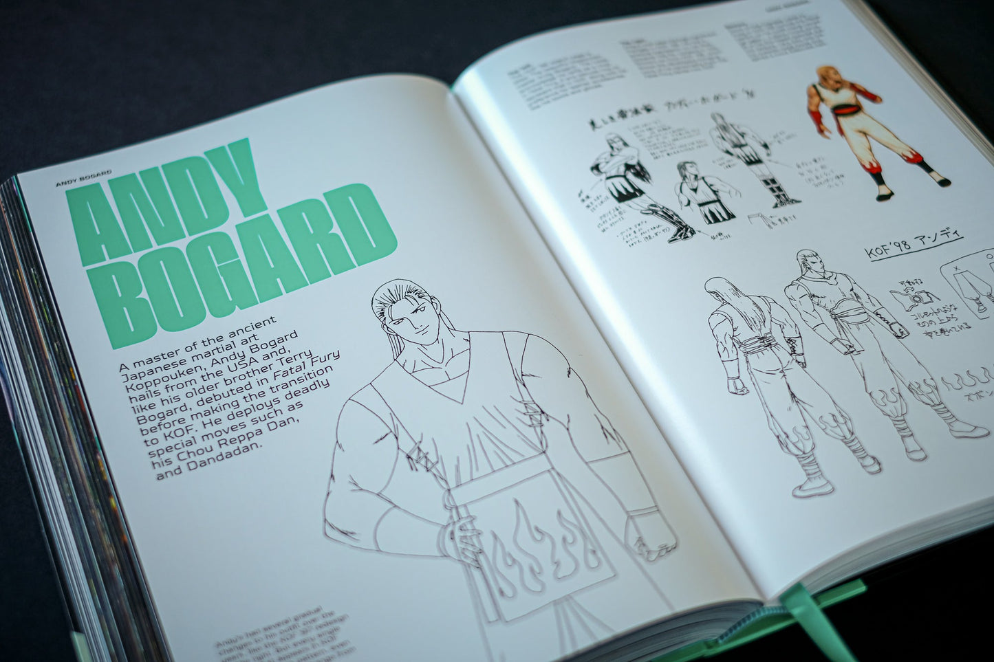 THE KING OF FIGHTERS: The Ultimate History Buch