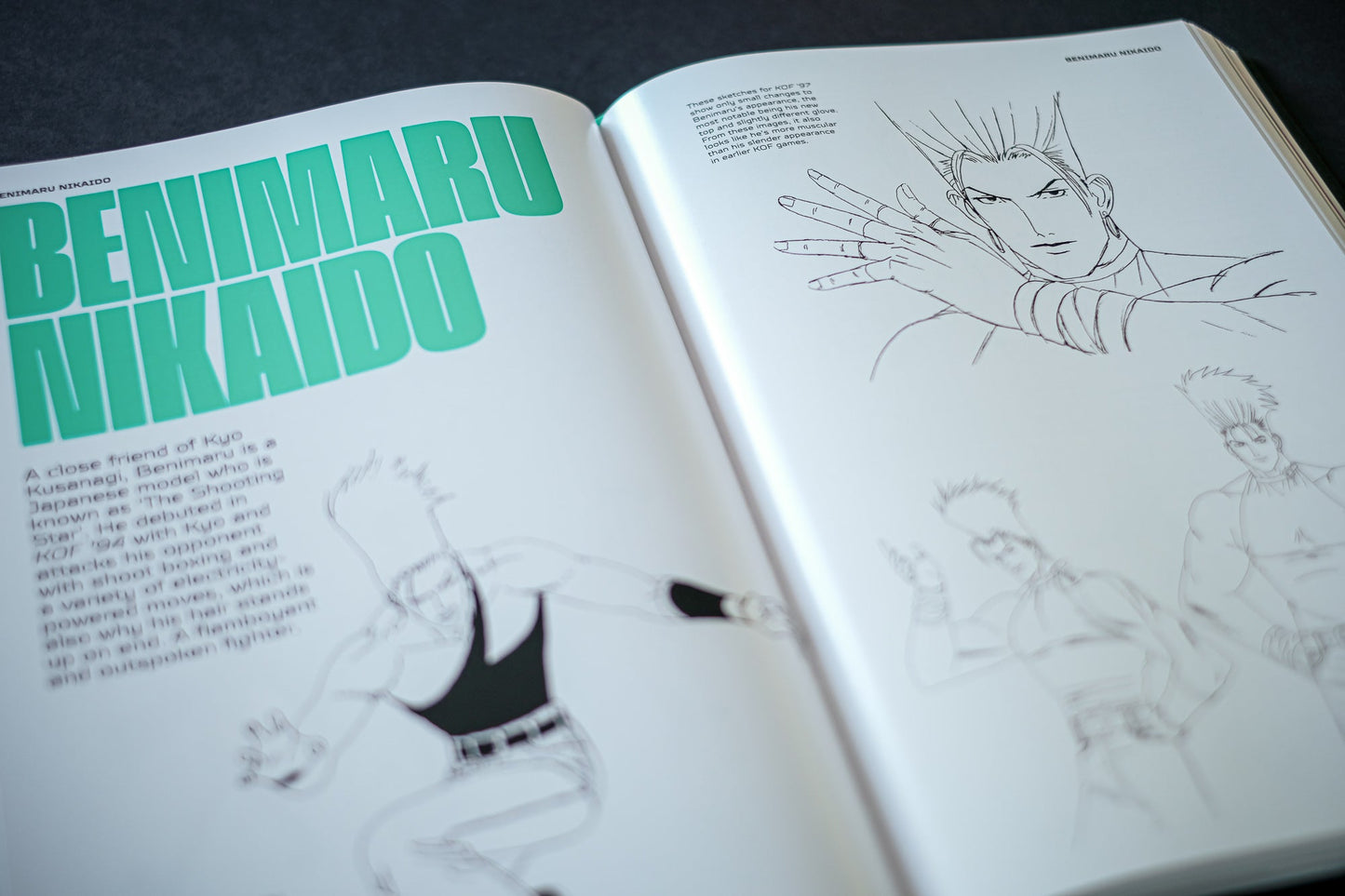 THE KING OF FIGHTERS: The Ultimate History Buch