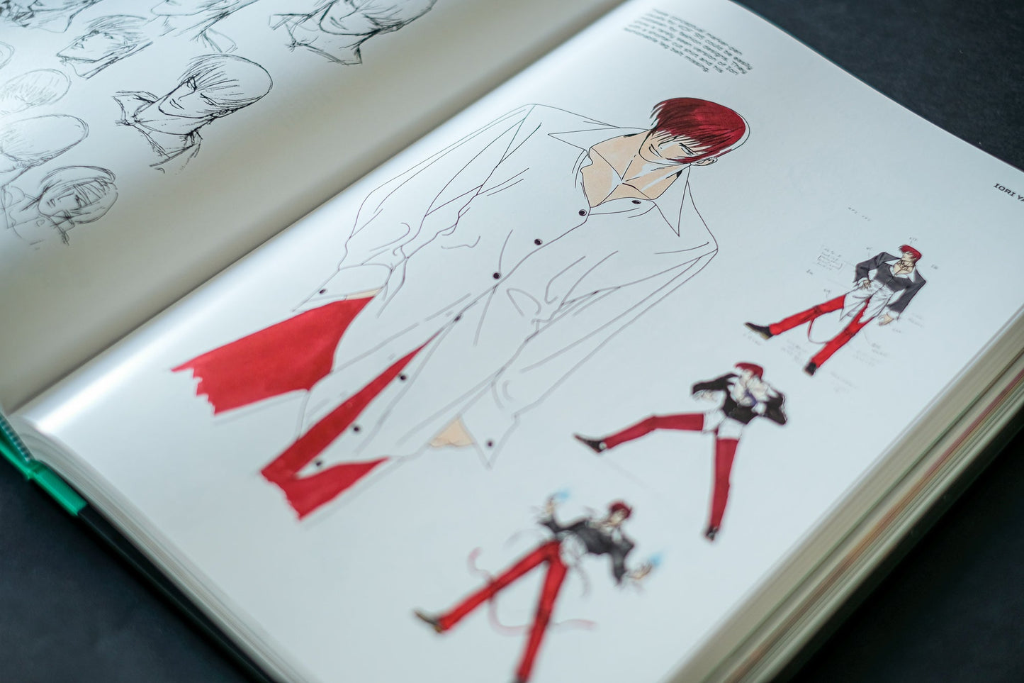 THE KING OF FIGHTERS: The Ultimate History Buch