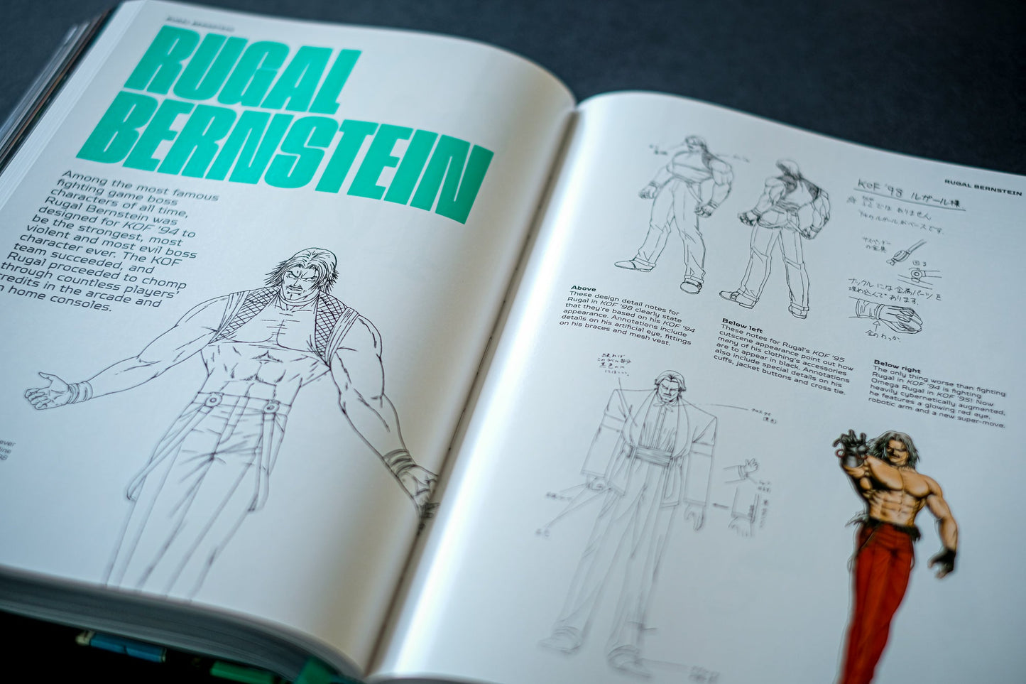 THE KING OF FIGHTERS: The Ultimate History Buch