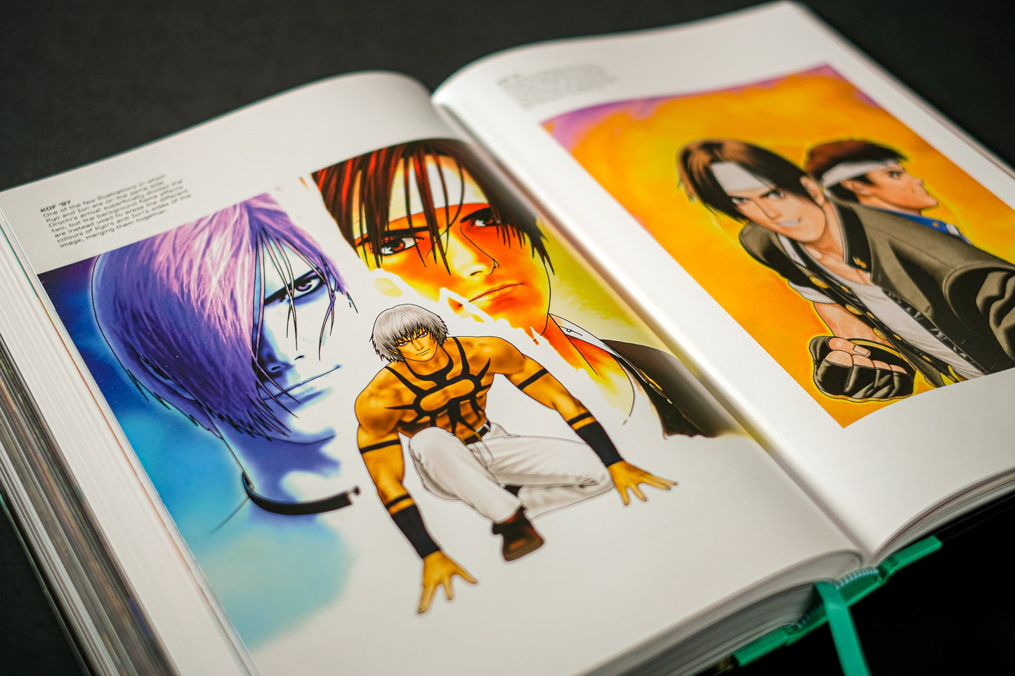 THE KING OF FIGHTERS: The Ultimate History Buch
