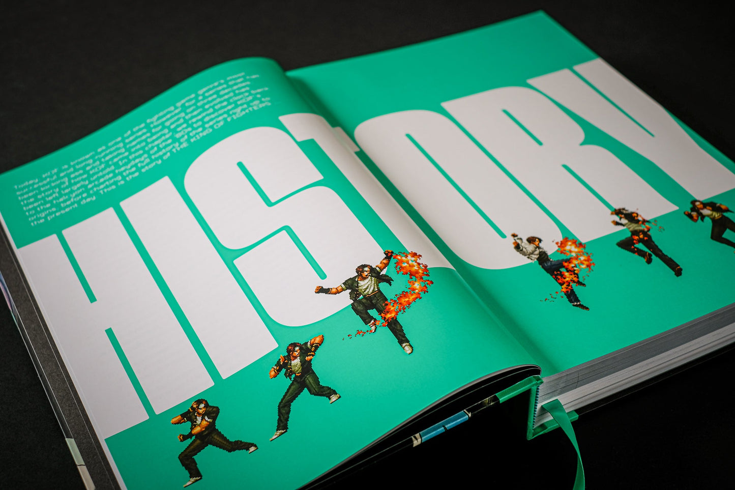THE KING OF FIGHTERS: The Ultimate History Buch