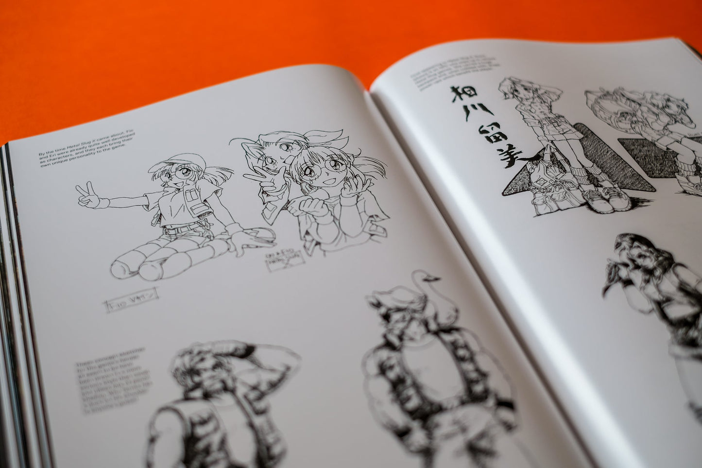 Metal Slug: The Ultimate History HB Buch