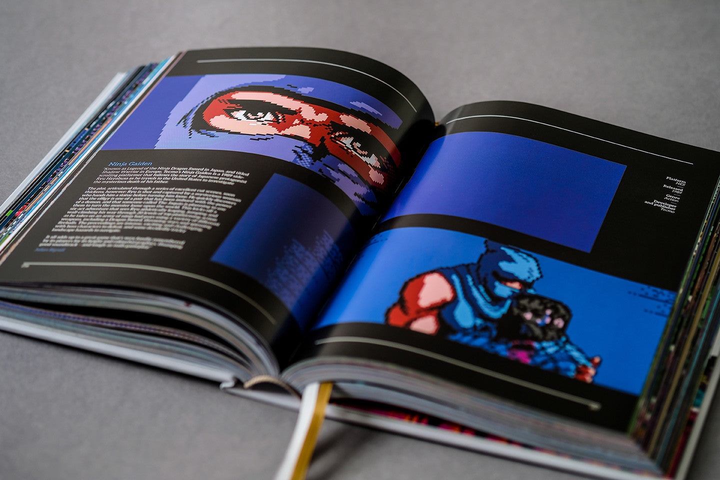 NES/Famicom: A Visual Compendium Buch