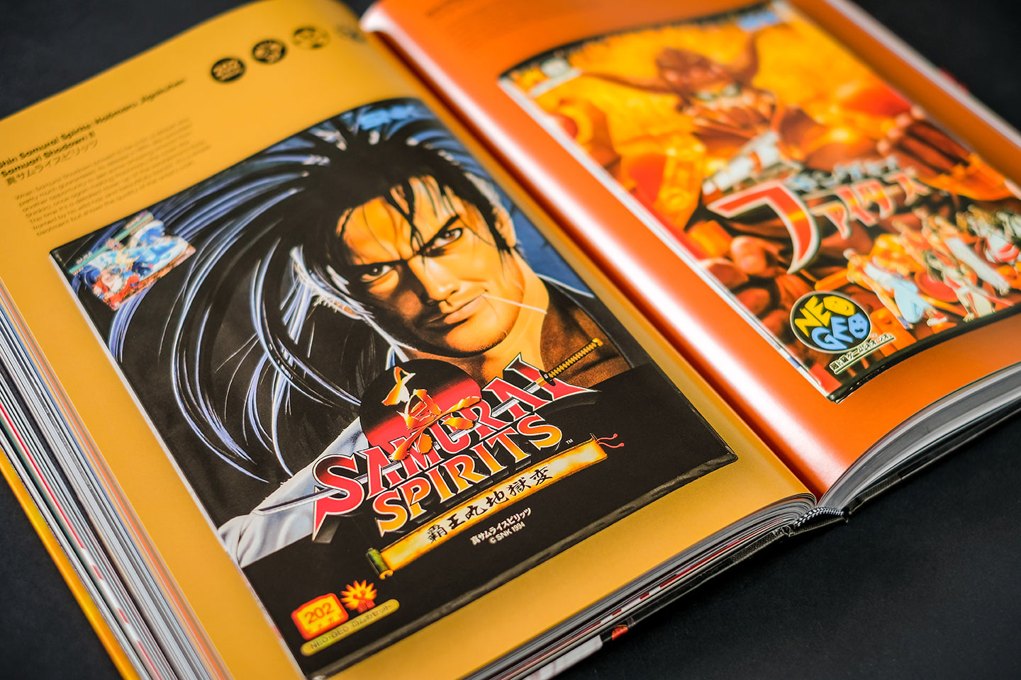 NEOGEO: A VISUAL HISTORY Buch