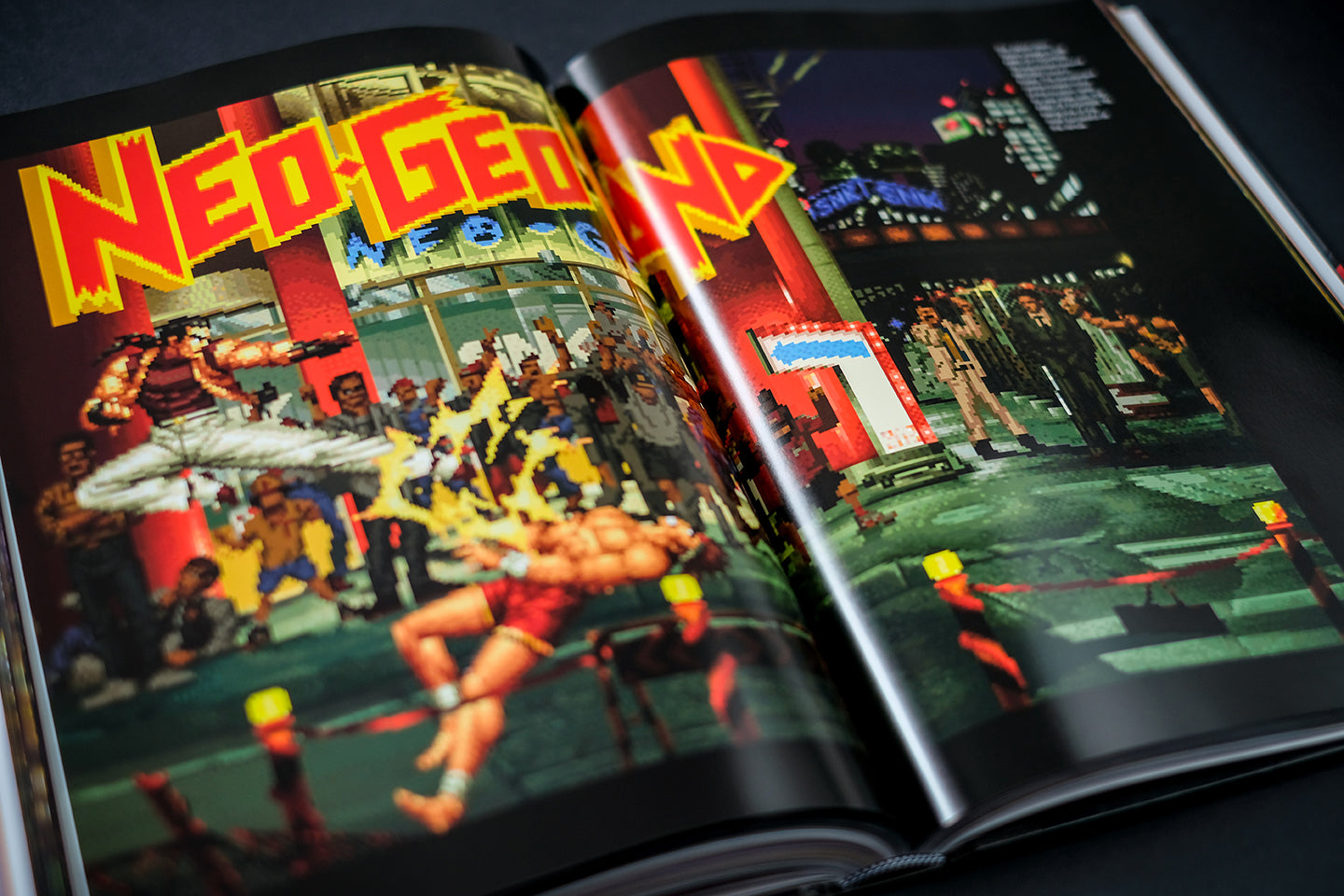NEOGEO: A VISUAL HISTORY Buch