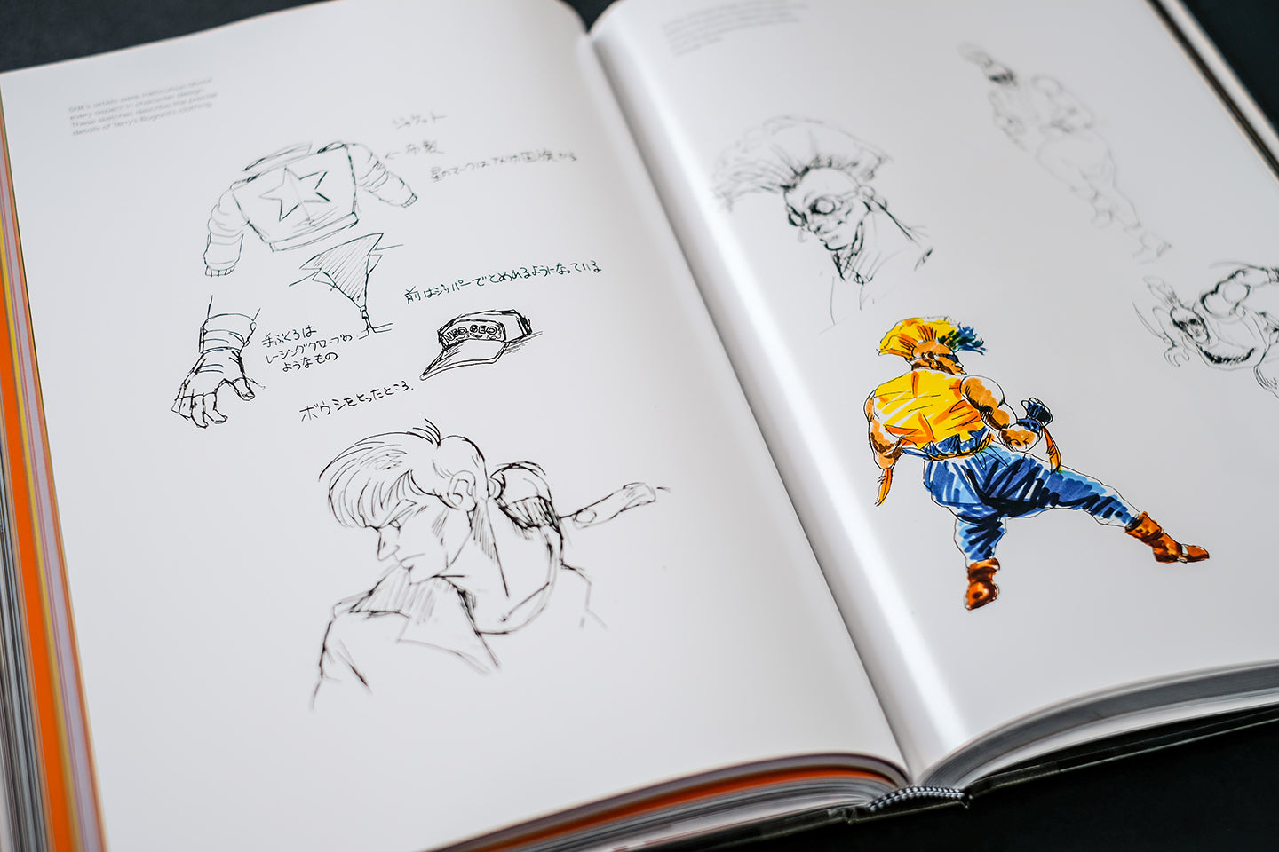 NEOGEO: A VISUAL HISTORY Buch