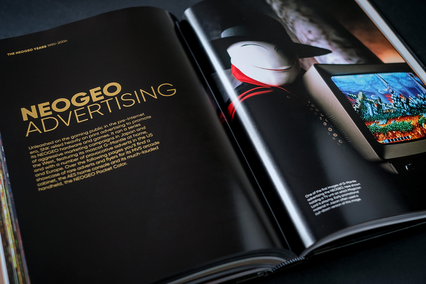NEOGEO: A VISUAL HISTORY Buch