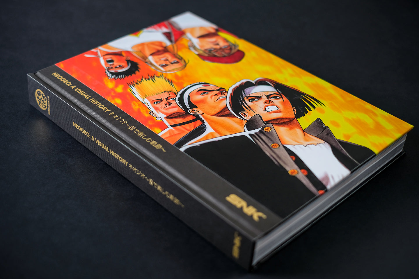 NEOGEO: A VISUAL HISTORY Buch