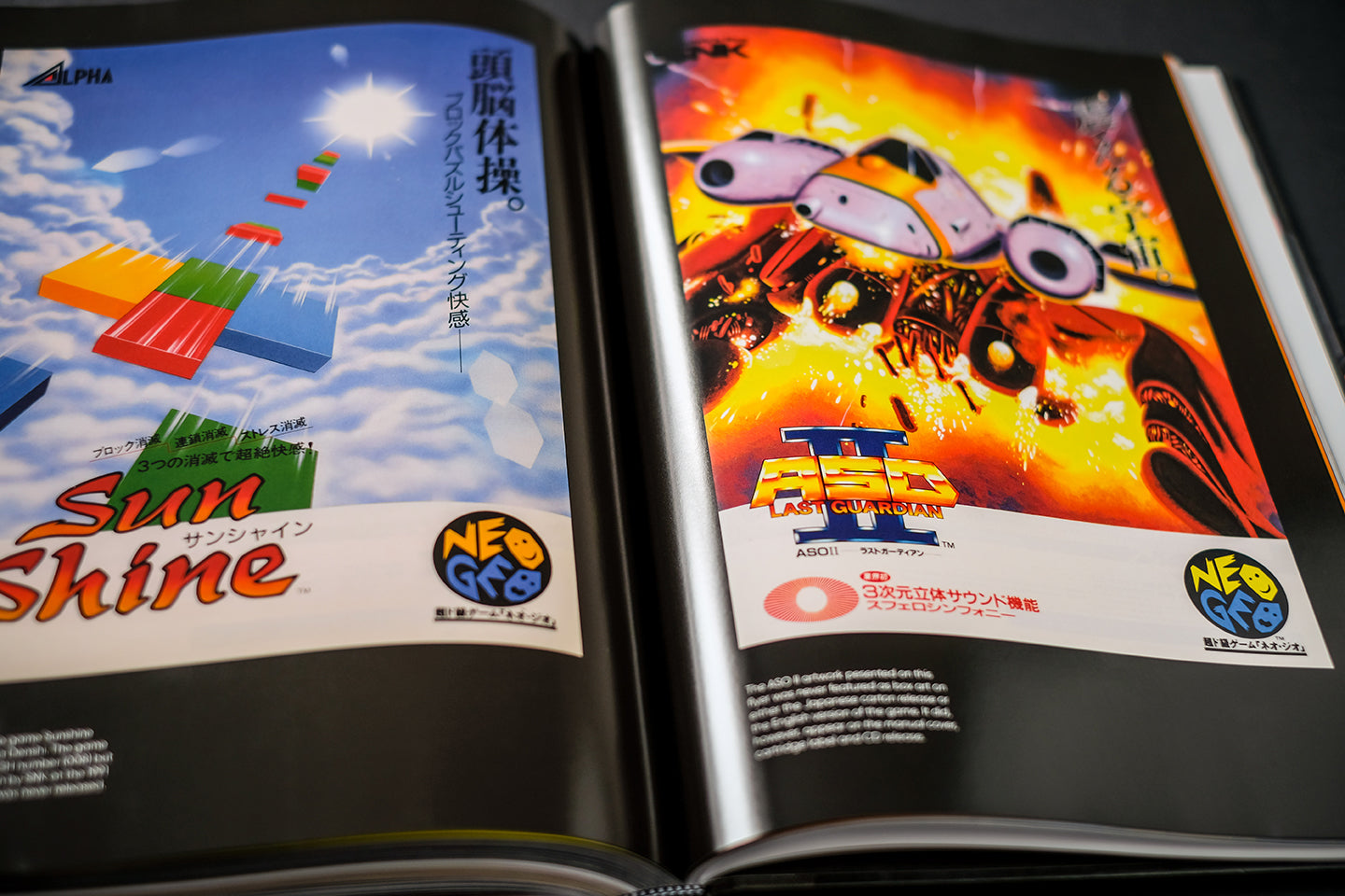 NEOGEO: A VISUAL HISTORY Buch
