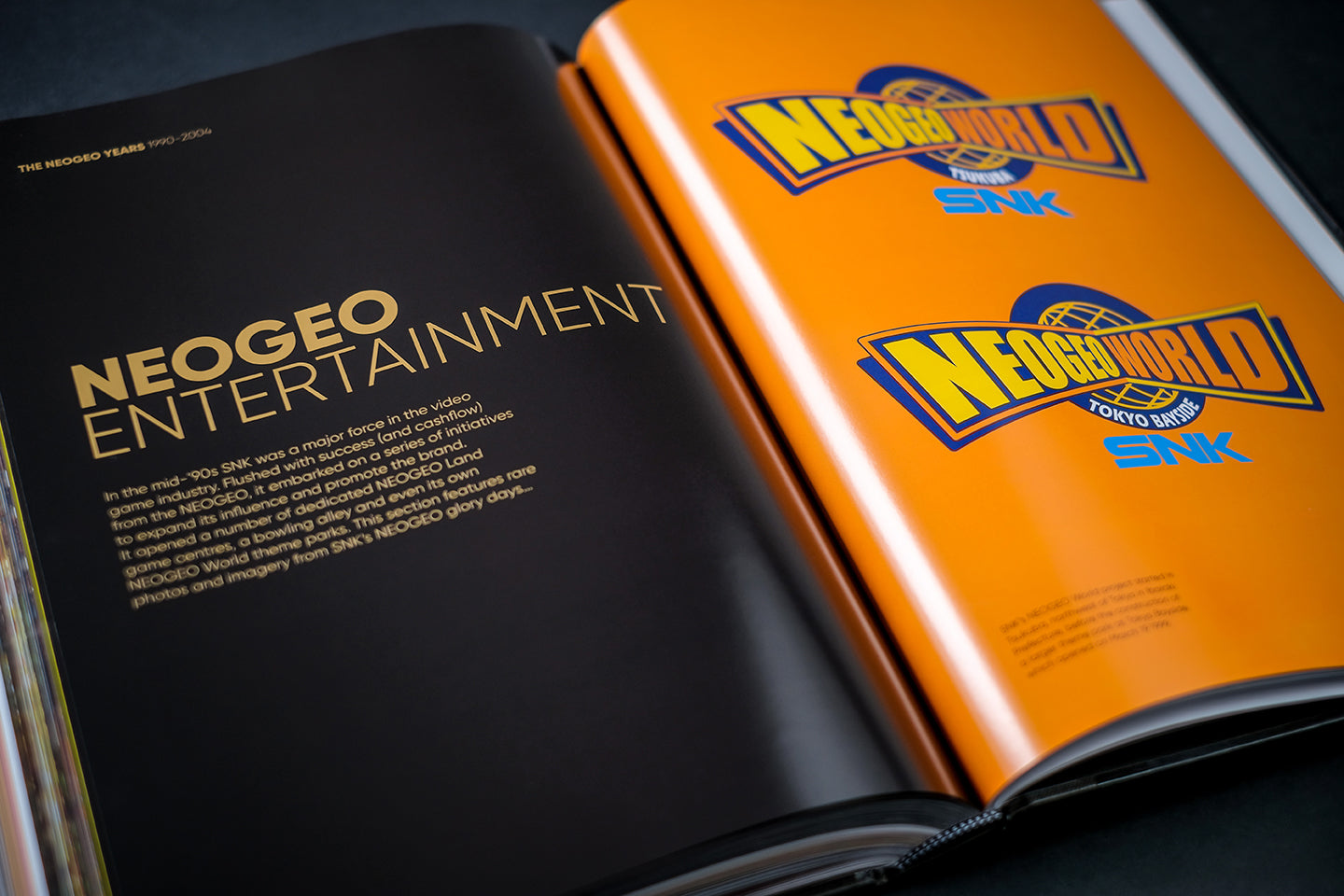 NEOGEO: A VISUAL HISTORY Buch