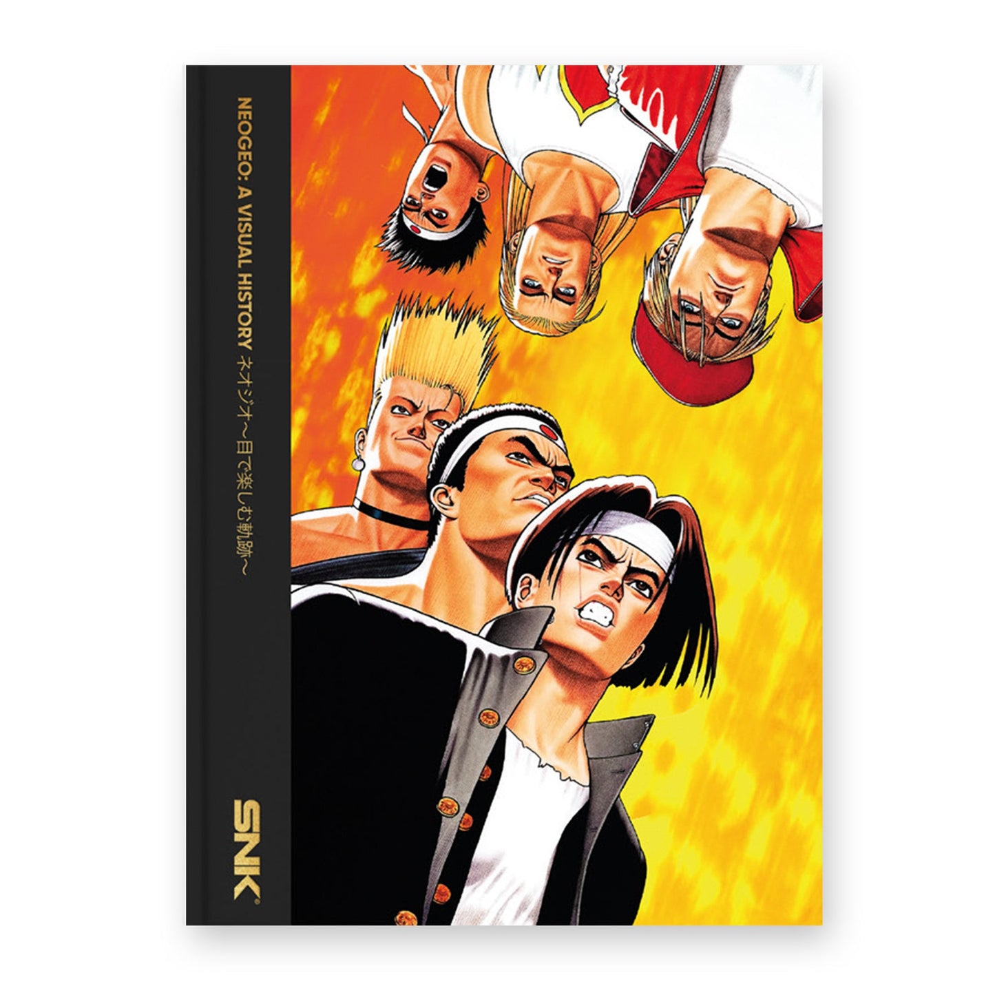 NEOGEO: A VISUAL HISTORY Buch