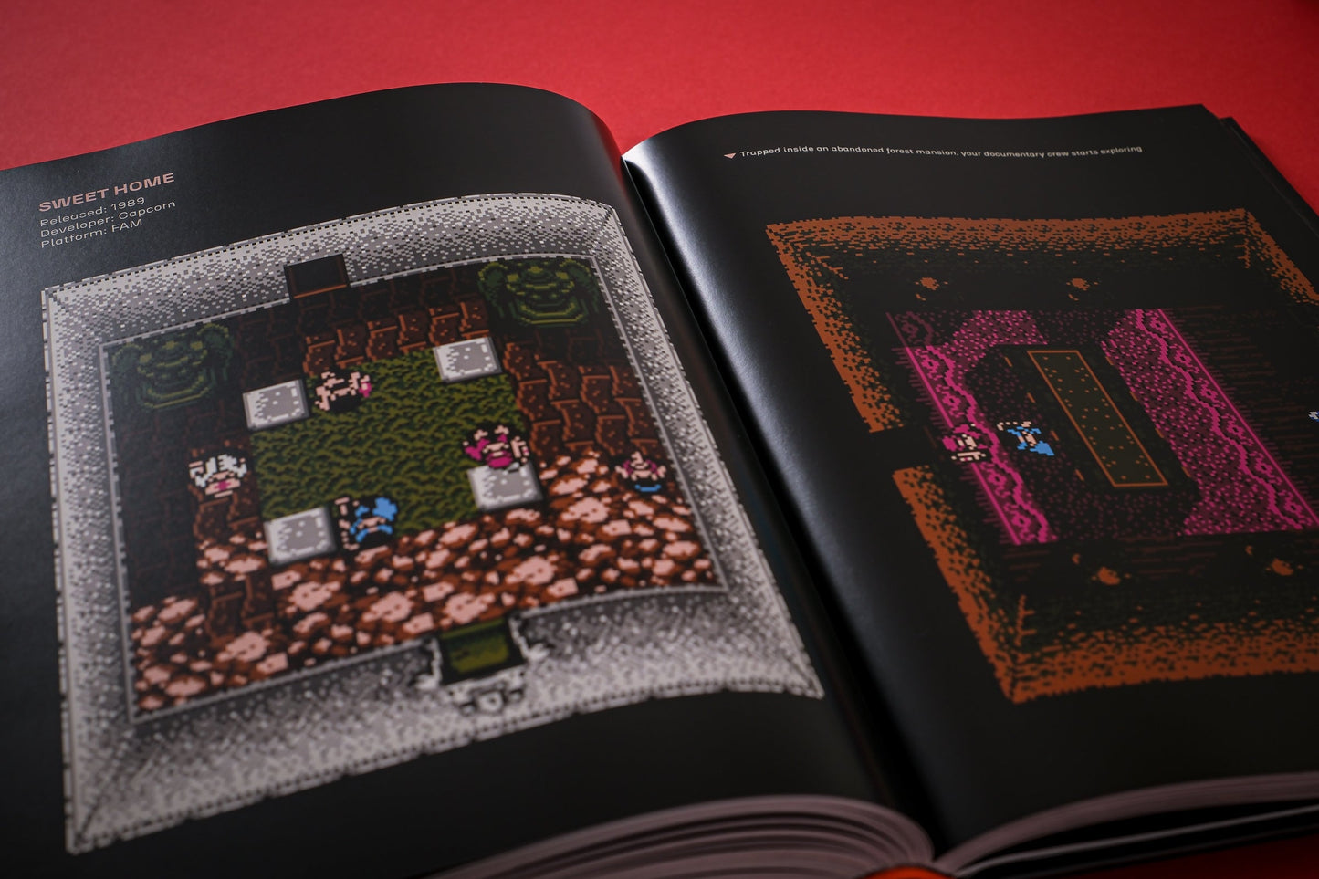 FROM ANTS TO ZOMBIES: Six Decades of Video Game Horror Buch
