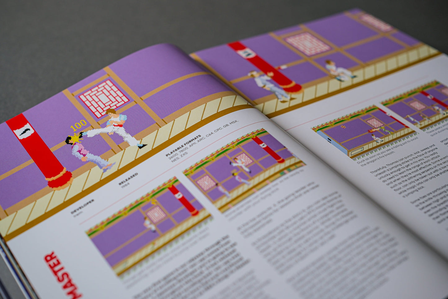 Go Straight: The Ultimate Guide to Side-Scrolling Beat-’Em-Ups Buch